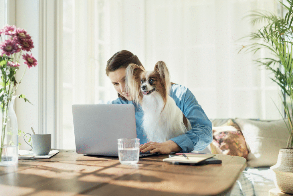 Prima Pet Premium – hybridimallista aidosti monipaikkaiseksi yritykseksi